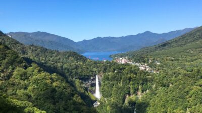 【第88回日本植物学会大会・一般公開講演会】栃木県の自然から見る生物多様性