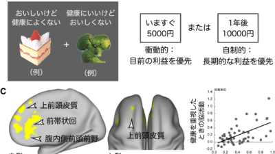 「美味しいけど健康に良くない食べ物」vs「健康に良いけど美味しくない食べ物」　あなたの脳は、どっちを選ぶ⁈