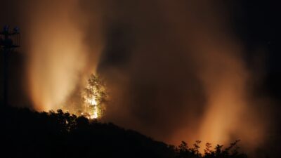 Climate Change in 2024: The Cause of Unprecedented Global Wildfires