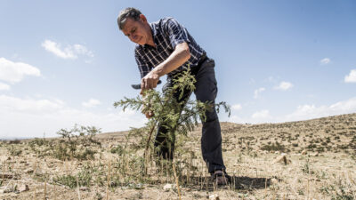 Considering a Community-Led Approach to Ecological Restoration: “The Forest Maker” Tony Rinaudo to Visit Japan in October! [Film Screening / Talk Event / Symposium]