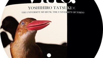 Photographer Yoshihiro Tatsuki Collaborates with The University of Tokyo for “in Vitro? in Vivo!”