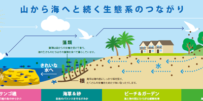 【海を“資本”として扱うリゾート】パラオ パシフィック リゾートが示すネイチャーポジティブとTNFD開示のリアル