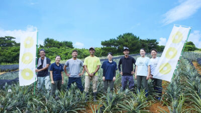 星野リゾート　西表島ホテル、循環型農業「環パイン プロジェクト」をスタート