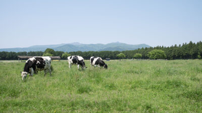 持続可能な循環型酪農を実践する那須千本松牧場 夏休みフェスティバル開催