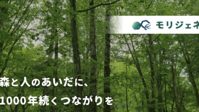 森林エコシステム再生を目的にした新会社「モリジェネ」誕生～フォレストリバイタライズ産業