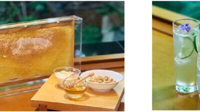 Successful Rooftop Beekeeping Project at Hotel: “Niwano Honey” Now Available for Sale and Service