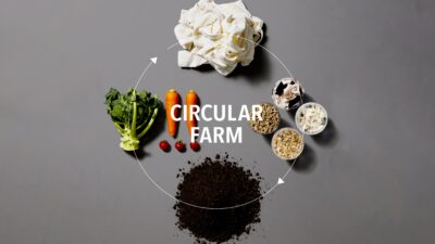 衣類廃棄問題を解決する新たな循環型モデル「CIRCULAR FARM」事業が本格稼働