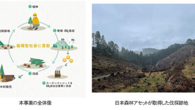 住友林業、気候変動時代の森林経営企業としての使命