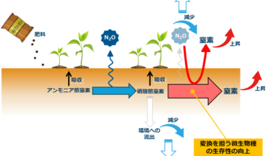 【Great News】世界初、土壌中の微生物の長期生存をコントロールする基盤技術を確立