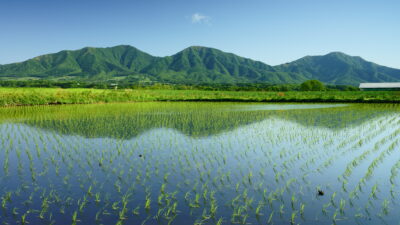 農業で地域を活性化する。岡山県真庭市と民間企業の取り組み。