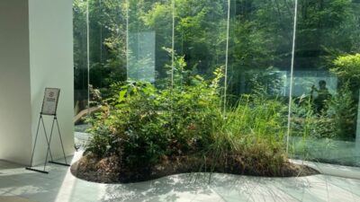 日本の四季を室内で再現する新技術。大成建設が開発した「T－バイオフィリックグリーン」とは？