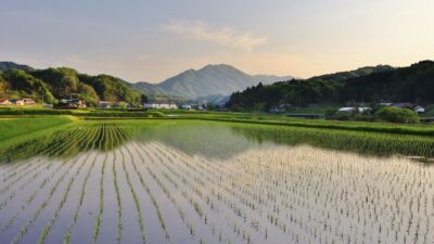 日本農業遺産を知ろう。奥出雲に見る鉄と米と文化。