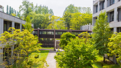 国際卓越研究大学とは？世界と伍する研究力を持つ大学群の新制度が始動。