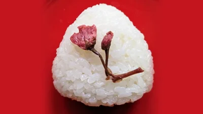 おにぎりで日本の食文化を発信。大阪・関西万博で5市共創の「LOCAL JAPAN展」開催。