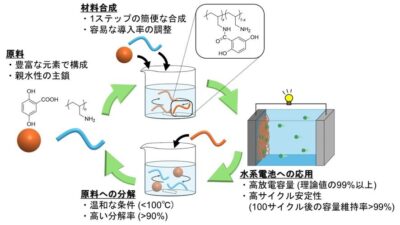 【東北大学×Nittobo】リサイクルが簡単な電極材料を開発！資源の制約を乗り越えた電池開発に新たな期待。