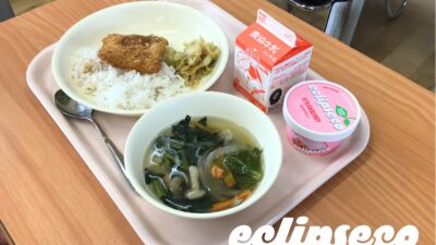 【給食に“やさしいアイス”】加賀市の中学校で100％植物性アイスを提供──アレルギー配慮と脱炭素を同時に進める、実験の一歩。