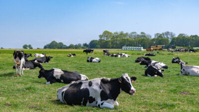 【牛乳の向こう側にある炭素循環】フランス酪農が描く“持続可能な牧場”の設計図