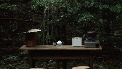 【眠れる山が文化の源流へ】徳島発「yusan」が現代に問い直す「遊山」の価値