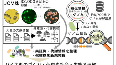 【CO2削減の新たな担い手】理研、未知の“CO2を食べる微生物”を数百株発見——ゲノム解析が拓く、バイオものづくりの未来