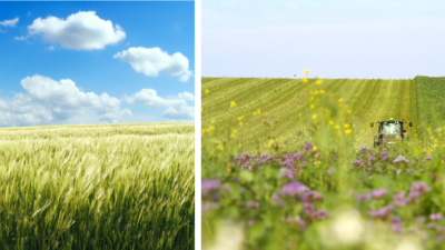 【”育て方で選ぶ”ビールへ】再生農業ビール誕生！一杯の裏側で進む、見えない環境革命