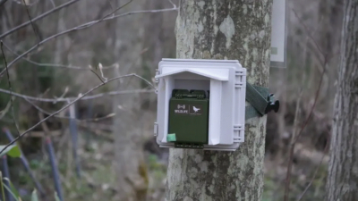 【森の“声”をAIが聞き分ける】サンクゼールの森で音響観測が始動。企業の保全地が、生物多様性の“観測インフラ”になる日