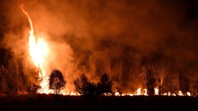 【3,000年分の炭素が一気に放出】熱帯泥炭地で進む“見えない気候危機”――崩れ始めた地球最大級の炭素貯金箱