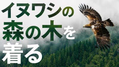 【イヌワシの森の木を着る】規格外木材が、紙と糸を経て一枚のシャツになる