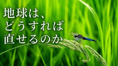 【地球は、どうすれば直せるのか】水田、ダム、イネ、都市から始まる「地球の修理技術」