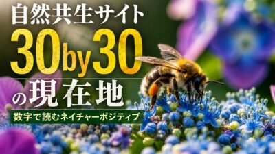 【自然共生サイト610箇所。それでも陸のOECMは0.2％】30by30の現在地～数字で読むネイチャーポジティブ