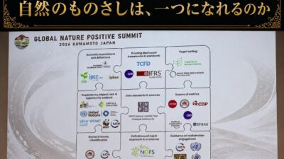 【自然のものさしは、一つになれるのか】TNFD、GRI、ISOが進める「一度測り、何度も使う」自然関連開示