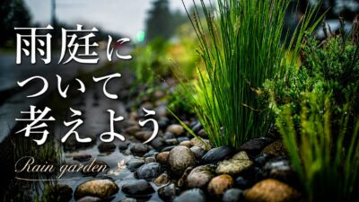 【雨庭について考えよう】雨を下水道だけに任せず、都市の水循環を修理する
