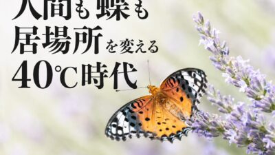 【人間も蝶も居場所を変える40℃時代】猛暑が書き換える、生きものと人間の世界地図――チョウ1,758種の世界解析と、7月の記録的高温が同時に示したもの