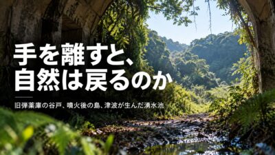 【人が手を離した場所で、自然はどう変わるか】旧弾薬庫の谷戸、噴火後の島、津波が生んだ湧水池　残された自然と、新しく生まれる生態系を、どう見守るか