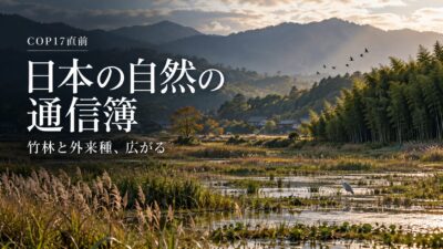 【COP17直前、日本の自然の通信簿】竹林と外来種が広がり、草原と湿地のつながりが細る　50年にわたる自然環境保全基礎調査と、文献・環境DNAによる淡水魚調査から読む変化の記録